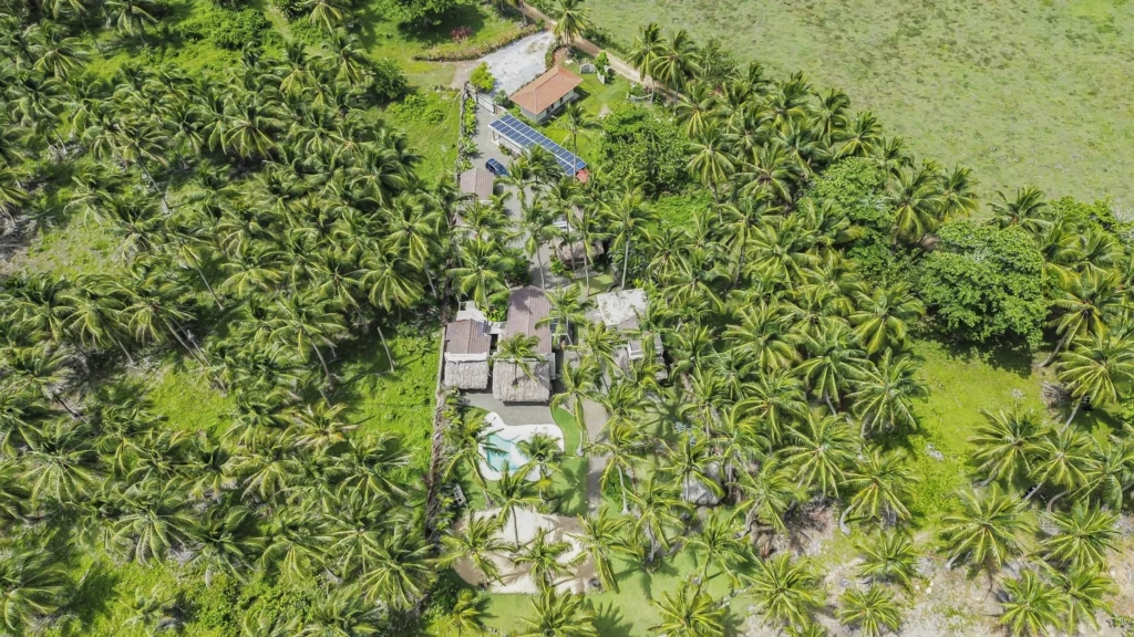 DJI_0307